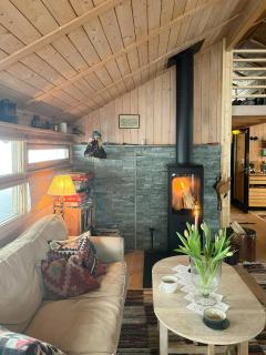 Furuly Cabin At Sangefjell, Peace And Nature - Ål - 9
