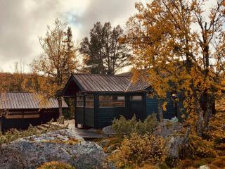 Furuly Cabin At Sangefjell, Peace And Nature - Ål - 4