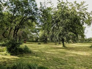 Secluded Holiday Home With Garden - - 6