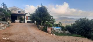Al ficodindia - Scopello - 8