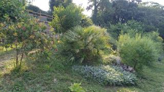 Sud de France, lieu calme & nature - 5