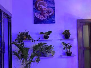 Greenflames Apartment - Aso - 3