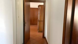 Paradise Palace Apartment 1 - 1