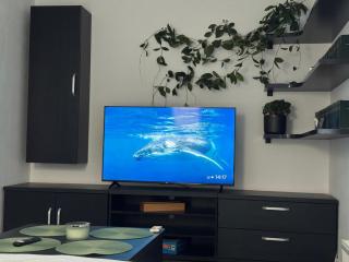 Panda Apartment Zorilor - 4