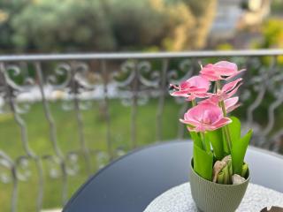 Markovi Apartments - Gevgelija - 9