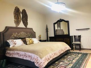 Luxury furnished apartment - Amman - 2