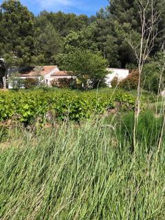 Magnifique villa proche d Aix en Provence - Rousset - 0