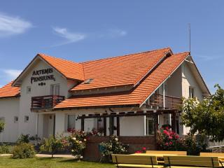 Pensiunea Artemis - 6