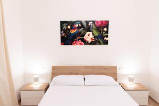 Soraya - Suites & Apartments - Palau - 1