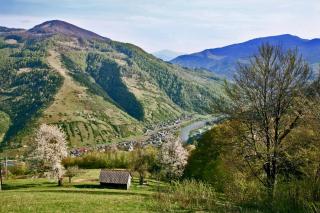 Dream Hostel Carpathians Rakhiv - Rachiv - 5