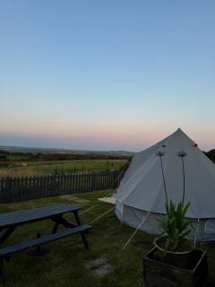 Emilies Bell Tent - St Ives - 5
