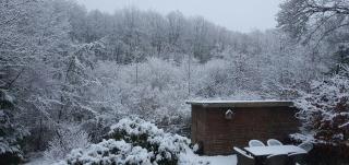 Summer House In Skovgårde With Forest View - 2