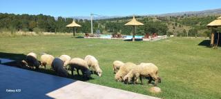 Las Calandrias - La Cumbrecita - 3