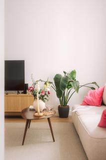 Agapella Apartamenty- Apartament Kościuszki Centrum, free parking - 5