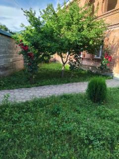Tamila Guesthouse - - 3