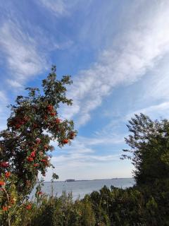 Haus am Sund mit Blick auf Rügen - Stahlbrode - 9