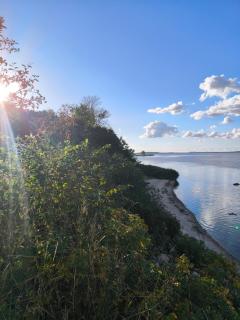 Haus am Sund mit Blick auf Rügen - Stahlbrode - 8