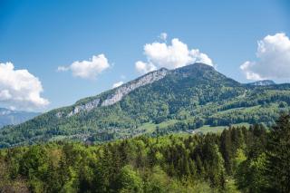 Ferienwohnung Glücksmomente - 7