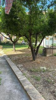 La dimora dei limoni - Vasto - 3