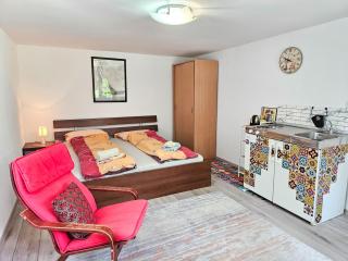 Ludwigs Apartment Sarajevo - Sarajevo - 2