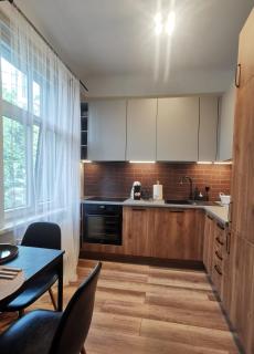 Modern apartment with fully equipped kitchen, close to Lucavsala park, free parking on street, near City Centre - Riga - 6