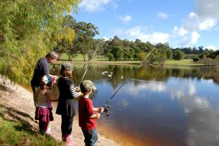 Diamond Forest Farm Stay - Manjimup - 5