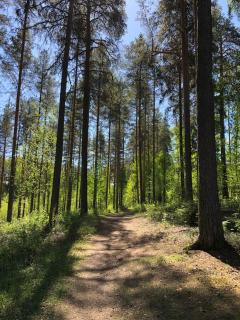 Kesäkoti keskustassa - Mikkeli - 3