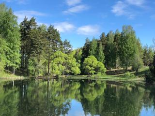 Kesäkoti keskustassa - Mikkeli - 1