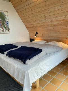 Architect-Designed Gem At The West Coast - 2