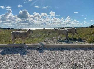 Cliff House With Sea Views In Bungenäs - 1