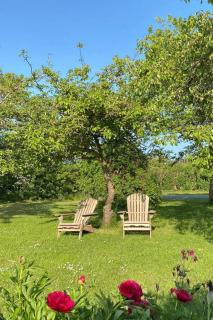 Timber House With Sea View In Guldborg - Guldborg - 4