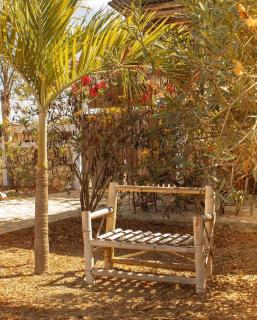 Hotel surf casa grande - Playas - 8