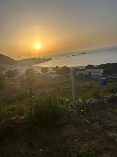 منزل قريب من الشاطئ - Dalia - 7