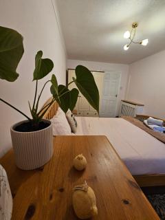 Spacious 2 Bedrooms Apartment - Glasgow - 6