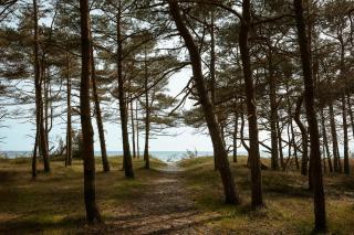 Elegant Designed A-Frame House On Bornholm - Neksø - 3