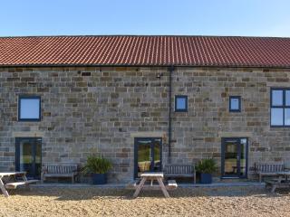 Elm Cottage - Uk48268 - Whitby - 0