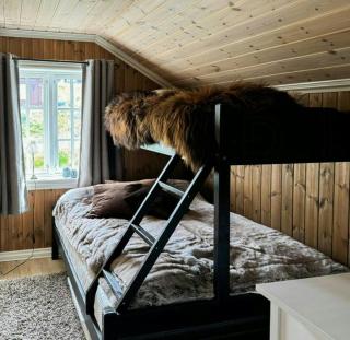 Cabin With Ski In-Ski Out In Rauland - Rauland - 6