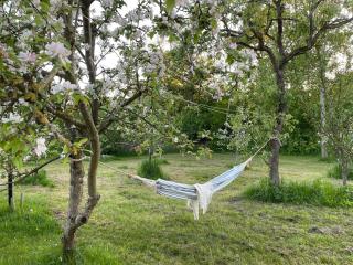 Apartment With Lovely Views In Veddinge Bakker - 2