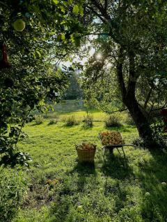 Charming Guest House With Wildlife In Sörmland - Björnlunda - 8