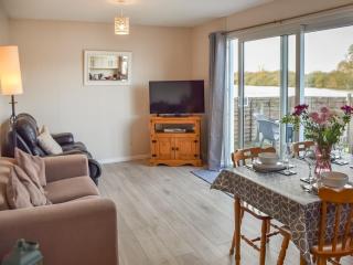 Pintail - Brundall - 9