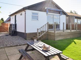 Pintail - Brundall - 8