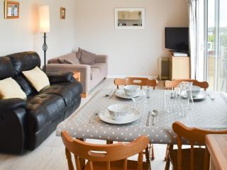 Pintail - Brundall - 6