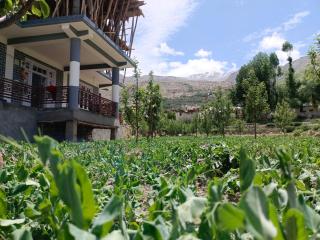 stargazing homestay Nako - Nako - 8