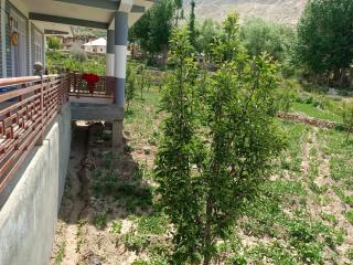 stargazing homestay Nako - Nako - 5