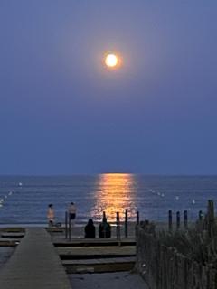 Au balcon de la mer, appartement à Marseillan plage - 8