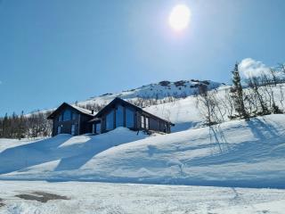 Luxury Mountain Home With View On Gaustablikk - Rjukan - 8