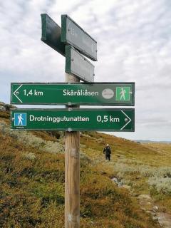 New Mountain Cabin With Views Over Eggedal - 2