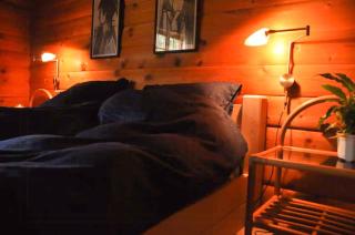 Unique Log Cabin In Quiet Forest - Brande - 1