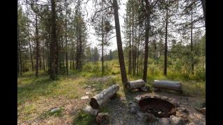 Blue Springs Pond Cabin - Near Yellowstone - Hot Tub - Island Park - 3