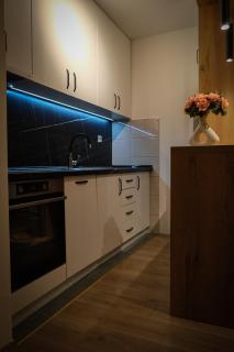 Lake apartment - Sarajevo - 7